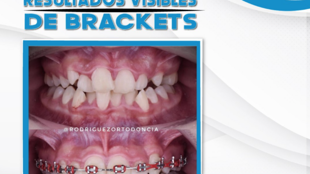 Captura de pantalla 2025-02-26 a la(s) 5.28.04 p. m.